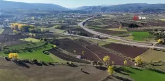 Kastamonu'da 12 Bin Yıllık Siyez Buğdayı Ekim Zamanı