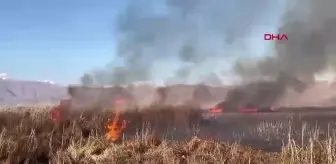 Hakkari'de Kuş Cennetinde Yangın Çıktı