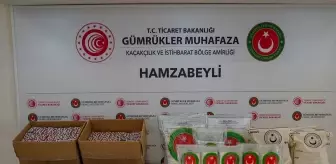 Hamzabeyli Gümrük Kapısı'nda Büyük Uyuşturucu Operasyonu