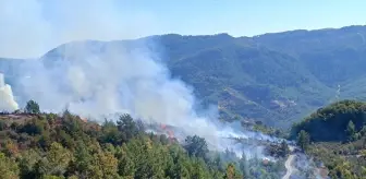 Alanya'da Zirai Alanda Yangın Kontrol Altına Alındı