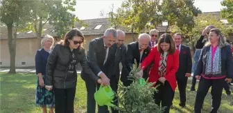 Edirne'de Cumhuriyet'in 101. Yılı İçin Fidan Dikimi ve Etkinlikler Düzenlendi