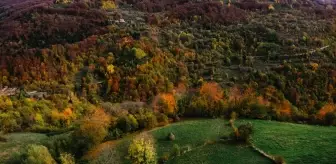 Sonbahar Renkleri Hersek-Neretva Kantonu'nu Süslüyor