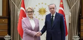 Cumhurbaşkanı Erdoğan, Meral Akşener'e açtığı tüm davaları geri çekti