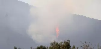 Denizli'deki orman yangını kontrol altına alındı