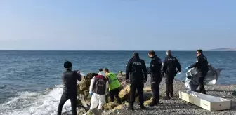 Tekirdağ'da deniz kenarında kadın cesedi bulundu