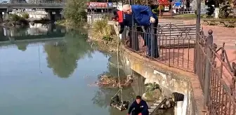 Zonguldak'ta Çayda Mahsur Kalan Kedi Kurtarıldı