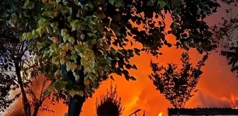 Gebze'deki Palet Deposunda Yangın Çıktı