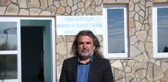 Prof. Dr. Lokman Aslan'dan Ayılara Karşı Almamız Gereken Önlemler