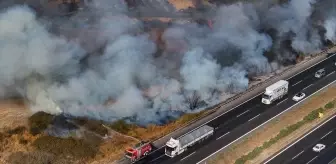 Adana'da Otoyol Kenarında Yangın Söndürüldü