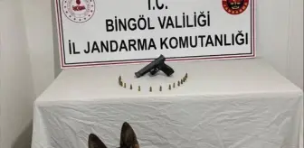 Bingöl'de 3 Aranan Şahıs Yakalandı, 2 Tabanca Ele Geçirildi