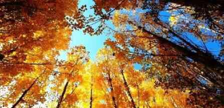 En güzel Kasım ayı mesajları ve sözleri - RESİMLİ!