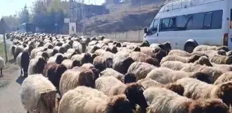 Diyarbakır Göçerleri Kışa Hazırlanıyor