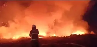 Hatay'da Tarım Arazisinde Yangın Kontrol Altına Alındı