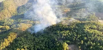 Muğla'da Orman Yangını Kontrol Altına Alındı