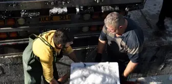 Sinop'ta Balıkçılar Bir Gecede Binlerce Kasa Palamut Avladı