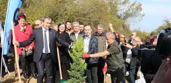 '81 İlde 81 Orman' Projesi kapsamında fidan dikimleri Samsun'da başladı