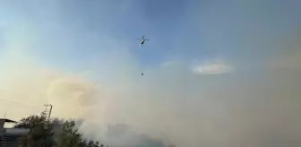 Hatay'da Orman Yangını Kontrol Altına Alınmaya Çalışılıyor