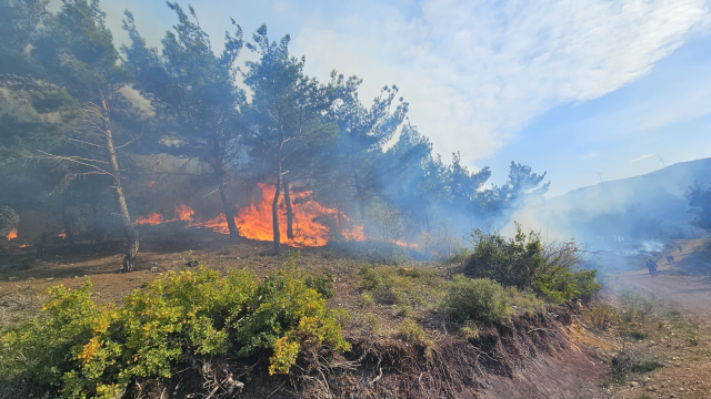 Forest Fire in Hatay Threatens Houses, Support Requests Are Increasing