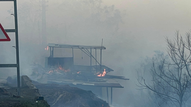 Forest Fire in Hatay Threatens Houses, Support Requests Are Increasing