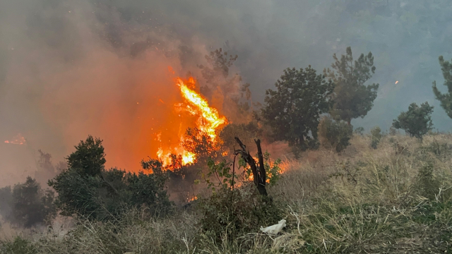 Forest Fire in Hatay Threatens Houses, Support Requests Are Increasing