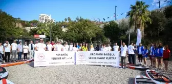 Antalya'da Organ Bağışı İçin Kürek Sörfü Etkinliği Düzenlendi