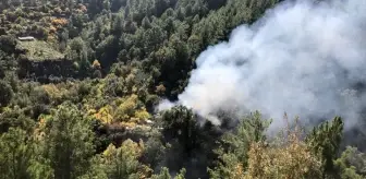 Mersin Anamur'da Ev Yangını Sonrası Meyve Bahçesine Sıçradı