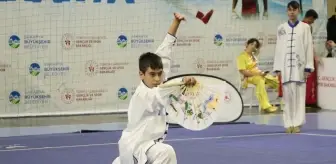 Geleneksel Wushu Türkiye Şampiyonası Sakarya'da Tamamlandı