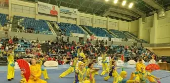 Türkiye Wushu Şampiyonası Sakarya'da Başladı