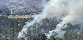 Bolu Göynük'te Orman Yangını Kontrol Altına Alındı