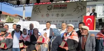 Kale'de Zeytin Kültür ve Sanat Festivali Coşkusu