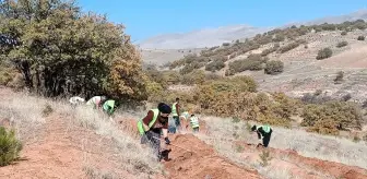 Kayseri'de Bal Ormanı Projesi hayata geçiriliyor