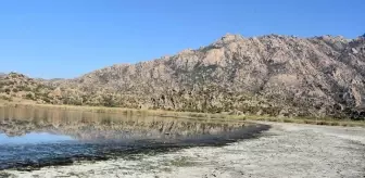 Bafa Gölü'nde kirlilik ve suda çekilme; TBMM heyetinden inceleme