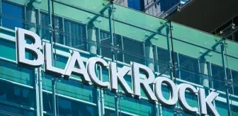 BlackRock ETF'lerinden altıncı net çıkış