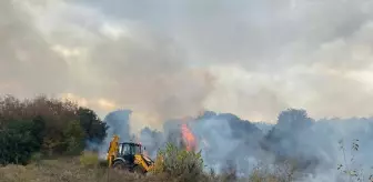 Çanakkale Biga'da Orman Yangını