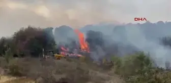 Çanakkale Biga'da Orman Yangınına Hızla Müdahale Ediliyor