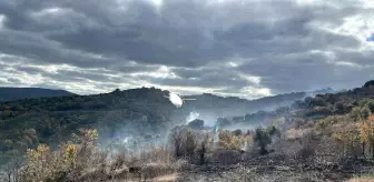 Çanakkale Biga'da Yangın Kontrol Altına Alındı