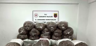 Sakarya'da Kaçak Tütün Operasyonu: 865 Kilogram Ele Geçirildi