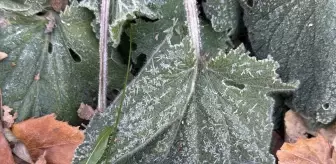 Kars ve Çevresinde Soğuk Hava ve Kar Etkili Oluyor