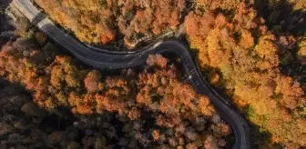 Uludağ'da Sonbahar Renk Cümbüşü: Dronla Görüntüleme