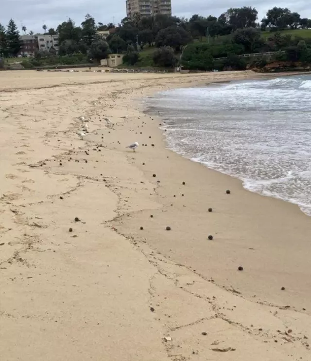 The mystery of the 'tar balls' that washed ashore has been solved