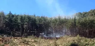 Bucak'ta Orman Yangını Kontrol Altına Alındı