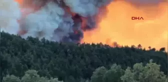 Bursa'da Orman Yangınına Büyük Müdahale