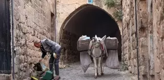 Mardin'de 'çalışan eşekler' emekliye ayrılıyor