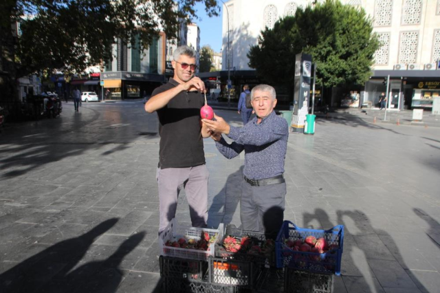 Celebrating Trump's election victory by distributing free radishes and dragon fruit