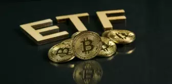 Trump zaferi Bitcoin ETF'lerine rekor kırdırdı