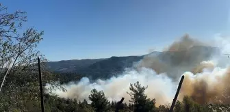 Bursa ve Balıkesir Arası Orman Yangını Kontrol Altına Alındı