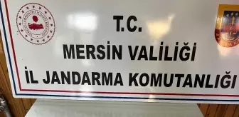 Mersin'de Tarihi Eser Operasyonu: 14 Bizans, 2 Roma Sikkesi ve Yüzük Ele Geçirildi