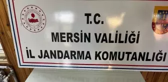 Mersin'de Tarihi Eser Kaçakçılığı Operasyonu