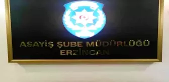 Erzincan'da Kumar Operasyonu: 3 Kişiye Ceza, 1 Kişiye Adli İşlem