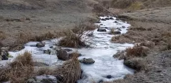 Kars'ta soğuk hava nedeniyle dereler dondu